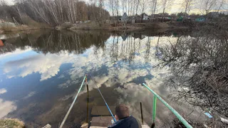 Увидела из засады, как за 5 минут были пойманы две рыбы и тут же съедены целиком: поняла, у кого нужно учиться рыбалке