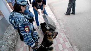 Спецслужбы пообещали найти человека, который сообщил о бомбе в школе №73