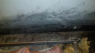 Как можно жить в такой квартире? Житель Брянска прислал фото последствий безалаберности управляющей компании