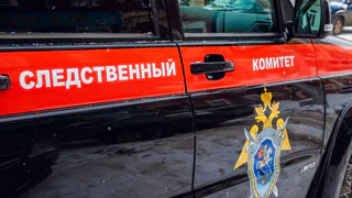 В Татарстане обнаружены человеческие останки