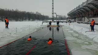 В Рязани состоялся чемпионат по зимнему плаванию