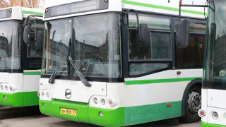 Мэрия: московские автобусы выйдут на рязанские улицы 1 ноября