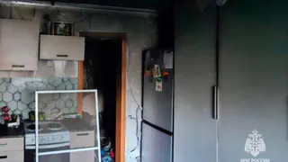 В Рязанской области сгорели 2 автомобиля и квартира за день 