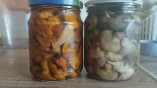 Грибы для засолки лучше варить или вымачивать - запомните раз и на всю жизнь