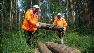 В Казани появятся «Зеленые тропы» протяженностью 190 километров