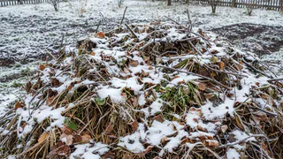 За зиму перегниют и толстенные ветки, и ботва: как я ускоряют компост - на заметку каждому дачнику
