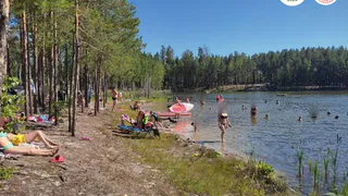 Жителям Чувашии пригрозили штрафами до 1 миллиона рублей за посещение лесов и разведение костров