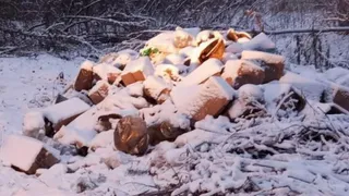 В Коврове выявлены пять улиц, на которых расположены стихийные свалки.