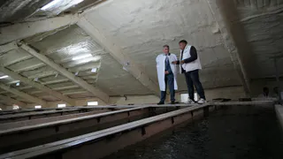 Форелевое хозяйство в Чувашии планирует запустить консервный цех и агротуризм