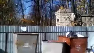 Обращение рязанца: "Так бывает, когда на площадке по сбору мусора стоят контейнеры от разных УК"