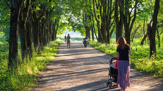 Клещи ненавидят этот запах: стоит копейки, а защищает в 100 раз лучше магазинного аэрозоля