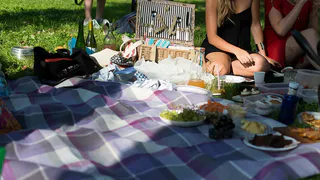 Идеи для веганского пикника: наслаждайтесь природой без вреда для экологии