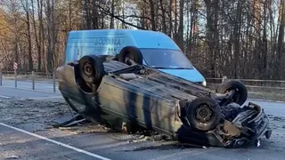 На выезде из Коломны на автомобиль рязанца упало дерево