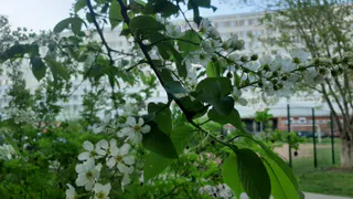 Прогноз синоптиков Татарстана: апрель ожидается очень теплым