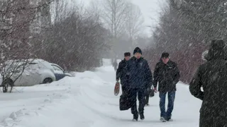 Метели, гололед, нулевая видимость: гидрометцентр предупредил о аномальной погоде. Когда ждать пик непогоды