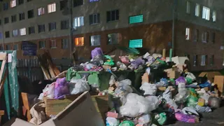 В Чувашии на регоператора по вывозу мусора завели "административку" после выездной проверки