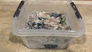 Никогда бы не поверила, что из обычной селёдки получится такая нежная закуска — гости просят добавку снова и снова