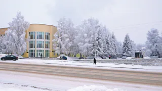 Синоптики рассказали о погоде в Коми 25 ноября