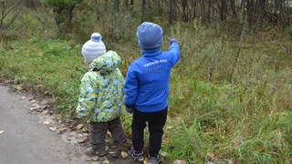Майнкрафт и мармеладный медведь Валера: чему учат маленьких зрителей видео в Youtube?