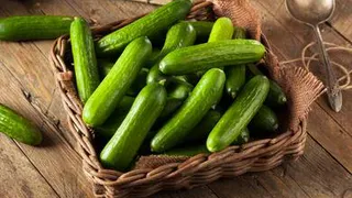 Найден способ увеличить срок хранения огурцов до 250 дней