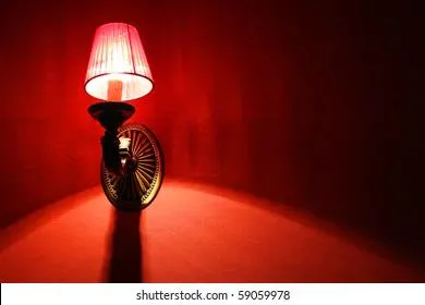 Энергетики потратили на бордель полмиллиарда рублей