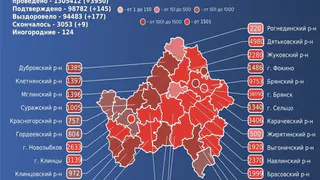 За сутки коронавирус унес жизни девяти брянцев