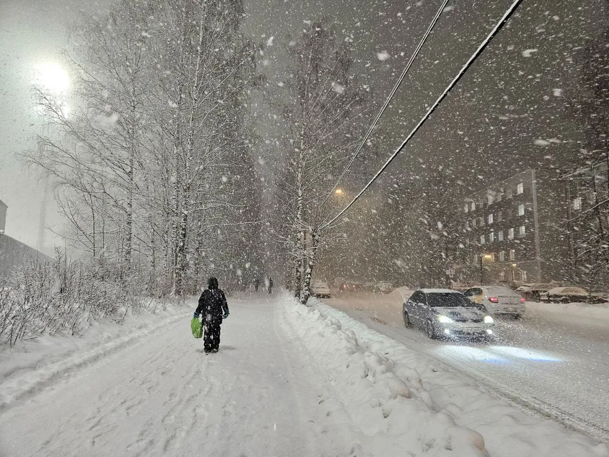 В Челябинской области пройдут сильные снегопады и потеплеет до +3