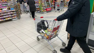 Прекращение работы с 11 января: «Леруа Мерлен» и Fix Price приняли неожиданное решение для россиян