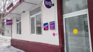 10 вещей с Wildberries, которые выглядят как из роскошного бутика. Не побоюсь слова — подборка века