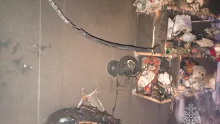 Предварительная причина пожара в доме во Владимире — неисправность гирлянды