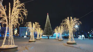 В январе отдыха не будет: Минтруд сократил новогодние каникулы - выходные убрали из-за ситуации в стране