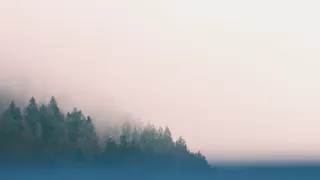 Метеопредупреждение: из-за тумана в Рязани ухудшится видимость на дорогах