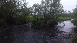 В Усинске провели экстренное совещание из-за загрязнения водоёма