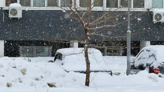 «Пробки — не только из-за снега»: рязанцы спорят о ситуации на дорогах после ночной уборки