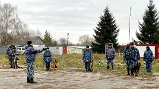 Специалисты-кинологи рязанского УФСИН обменялись опытом