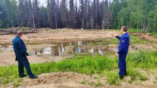 Прокуратура Коми начала проверку после разлива нефти под Печорой