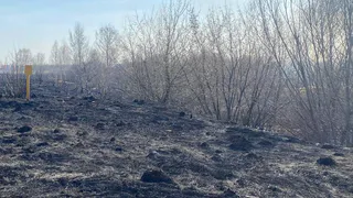 Под Рязанью мужчина спас целое село от участи стать пеплом