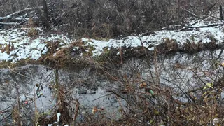 Брянская прокуратура через суд пытается добиться от чиновников очистки ручья