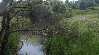 Двое иностранцев избили и изнасиловали девушку 17 лет в Рязани