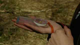 Пропавшего во Владимирской области пожилого мужчину нашли живым