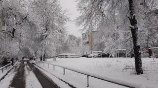 На севере теплее, чем на юге: погода в Коми 9 февраля