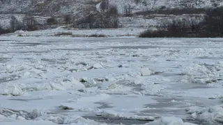 Рязанский Минтранс сообщил о планах по наведению переправ в районе Фатьяновки