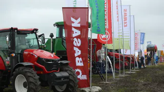 Сельское хозяйство Владимирской области дает высокие показатели