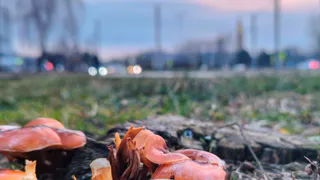 Погода в Нижнекамске на вторник, 18 ноября