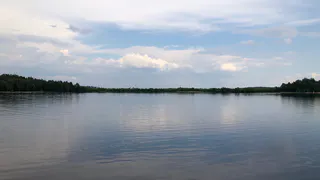 Нарушений не найдено: экоактивисты опубликовали результаты проб реки Старица