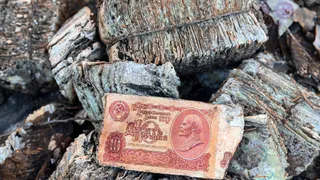 Миллиарды советских рублей обнаружены в лесу Владимирской области