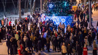 Игра началась: рязанцам предложили искать в Лесопарке Деда Мороза