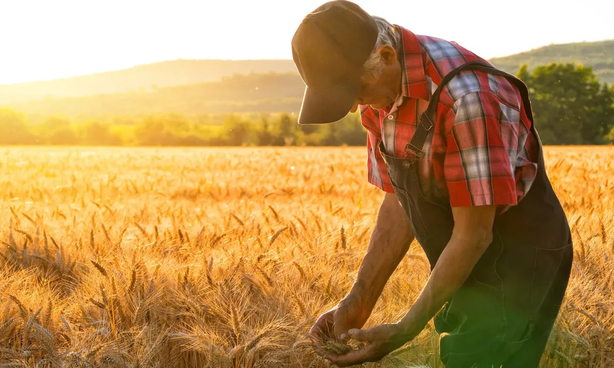 Фермера в Лунинском районе осудят за невыплату зарплаты