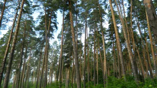 Ахуны получили статус регионального курорта через суд