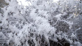 Синоптик Позднякова предупредила о предстоящем снегопаде: «Погода выполнит норму»